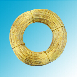 世界怎么了？黃銅圓線得多讀書多看報了